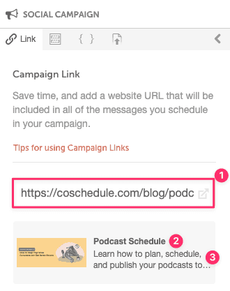 Campaign Link panel with a URL entered and the page's title and excerpt pulled in below it