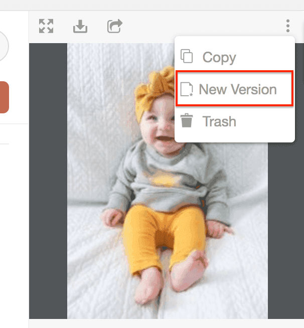 File options menu in Assets showing the New Version option.