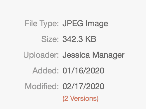 File details in Assets with the Modified section and the Versions link.