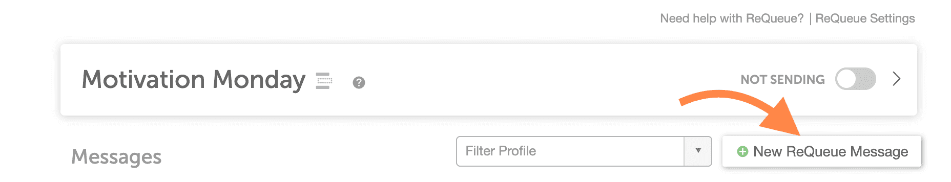 An open ReQueue group with the New ReQueue Message button for writing a message straight into the group.