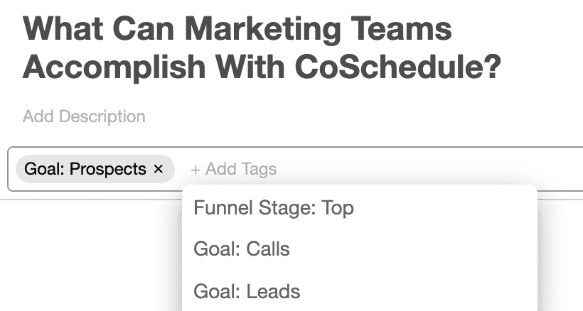 Open project with tags typed into the field under the project title.
