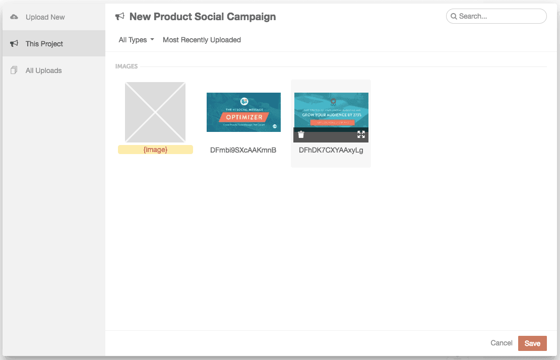 Media library on the This Project tab, with an uploaded file selected and the Save button.