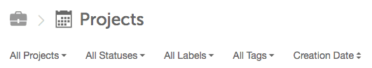 Filter and sort options at the top of the Projects folder in Assets.