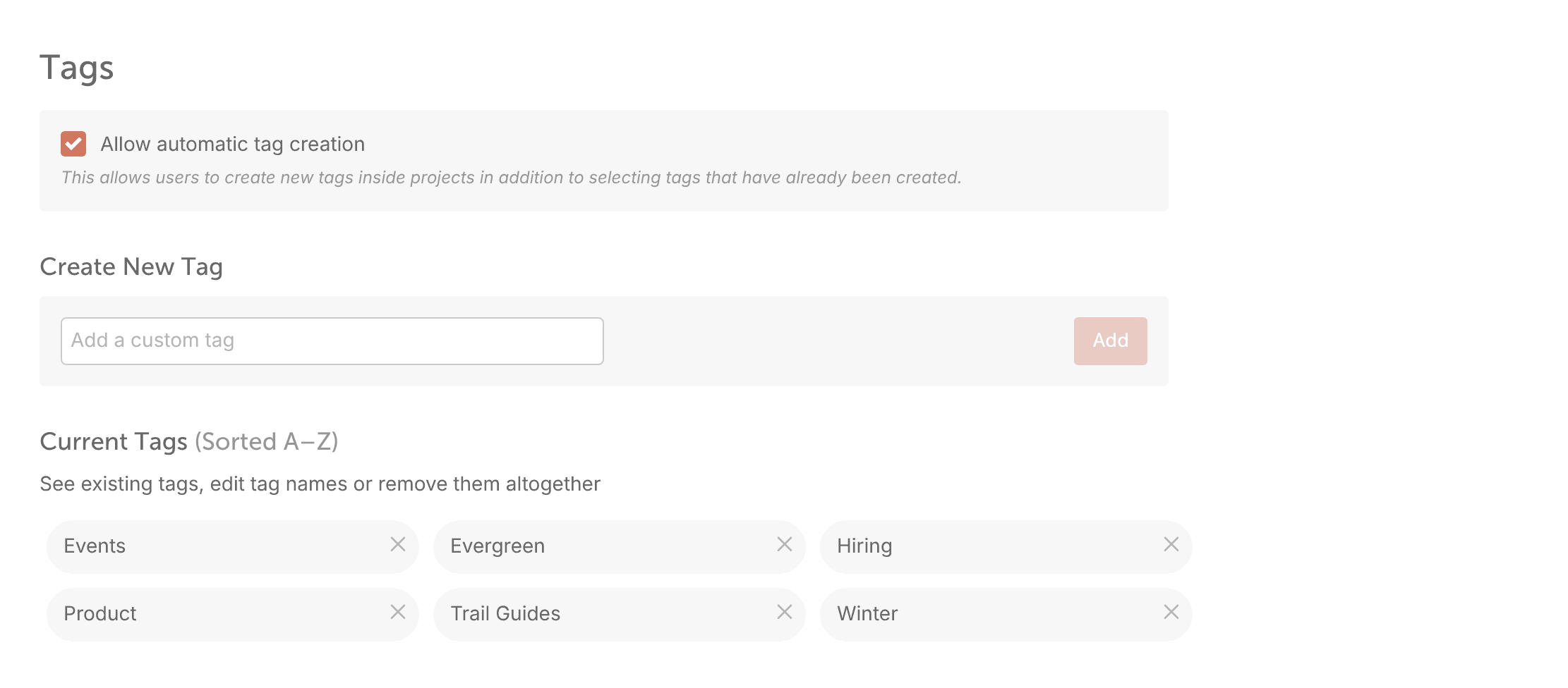 Tags settings listing the calendar's tags, where you rename a tag or click its X to delete it.