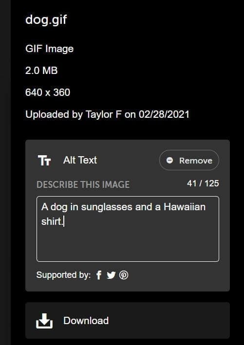 Expanded image preview in a social message with the Alt Text field open to type a short description.