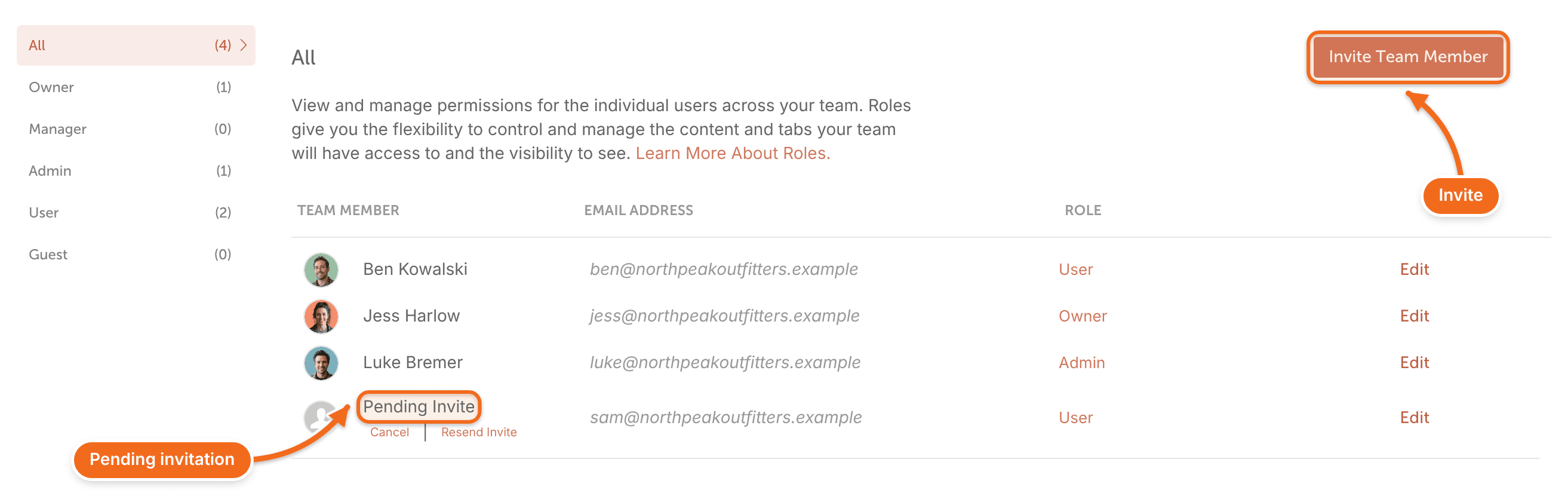 Team Members list with the "Invite Team Member" button and a "Pending Invite" row with "Cancel" and "Resend Invite".
