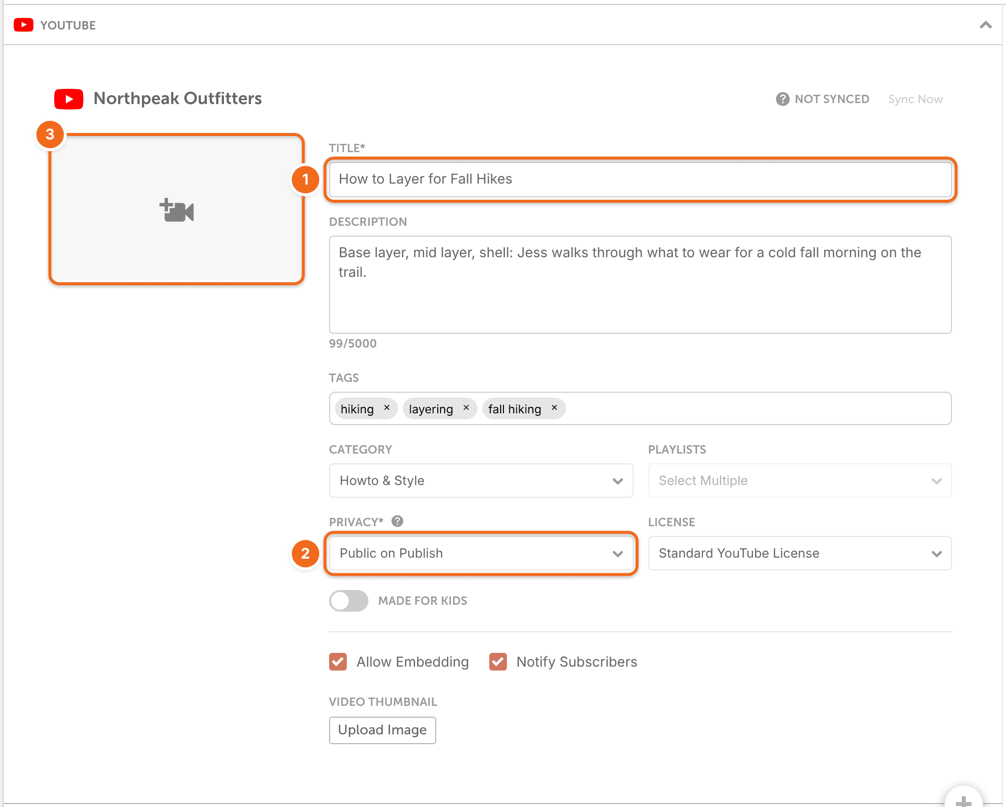 YouTube project section with "Title", "Privacy" set to "Public on Publish" and the video camera icon highlighted.