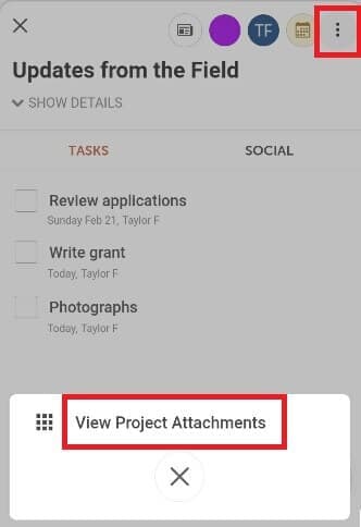 Project menu in the CoSchedule mobile app with View Project Attachments selected.