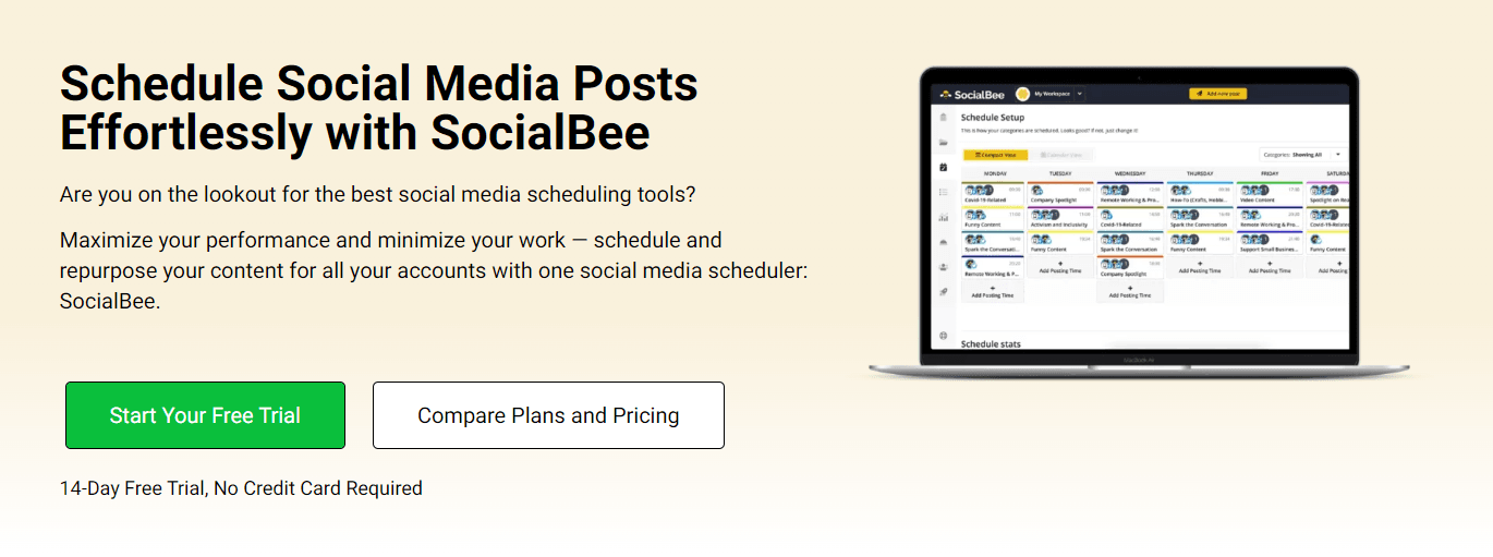 SocialBee's automatic social media scheduler for organization 