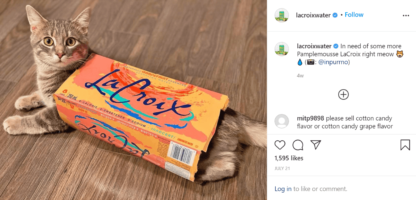 Example of charming Instagram copy from LaCroix