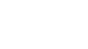 UofSC Alumni Logo