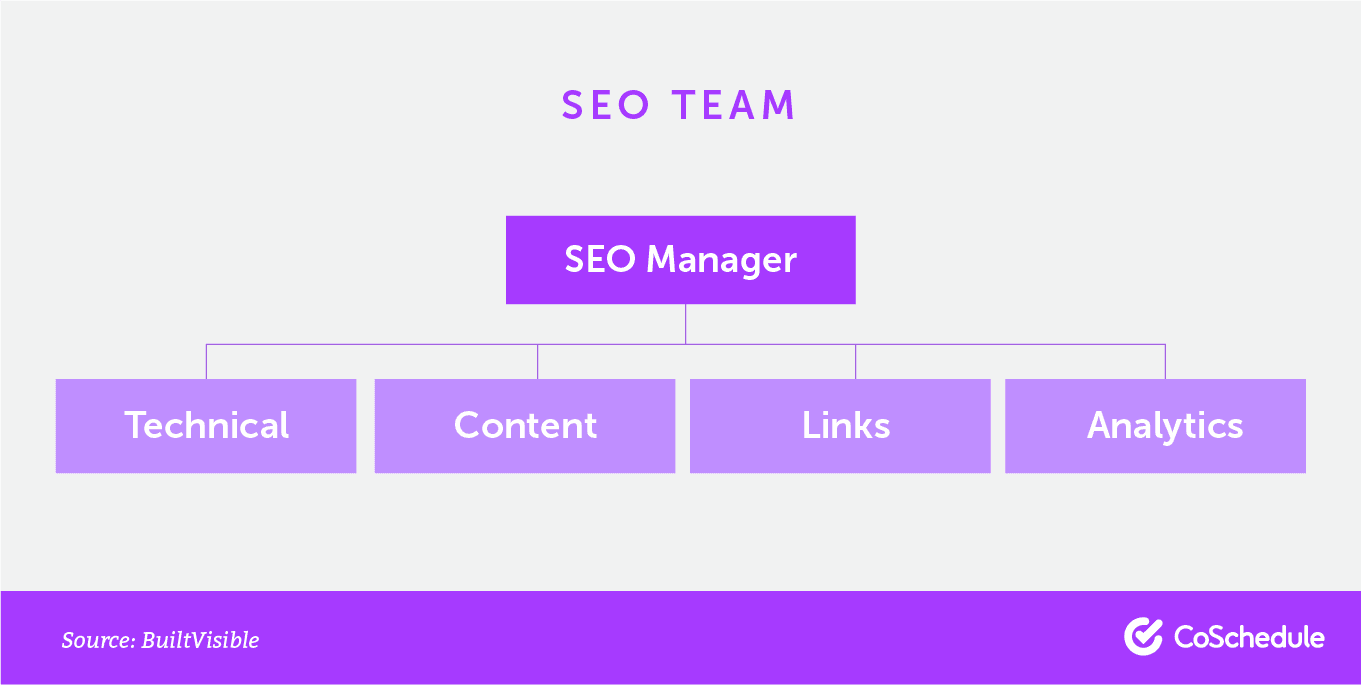 The roles that make up an SEO team