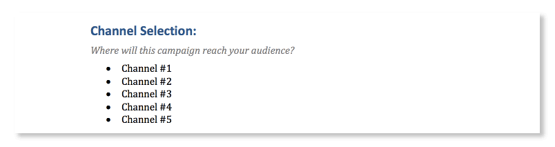 How will you reach your audience?