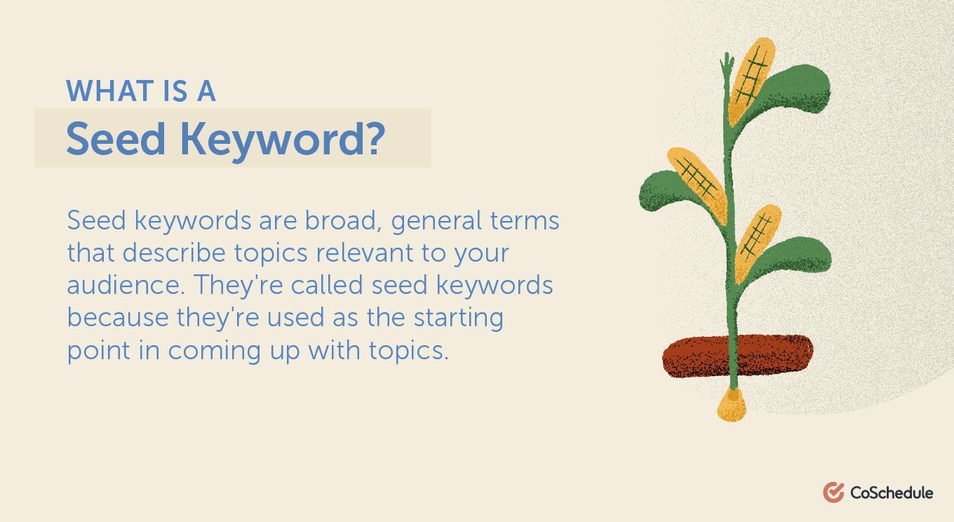 Seed keyword definition
