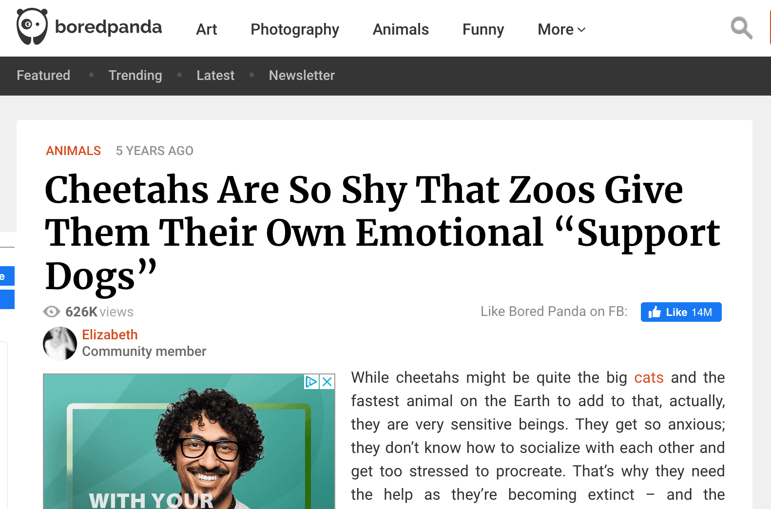 Example of an emotional headline from Bored Panda