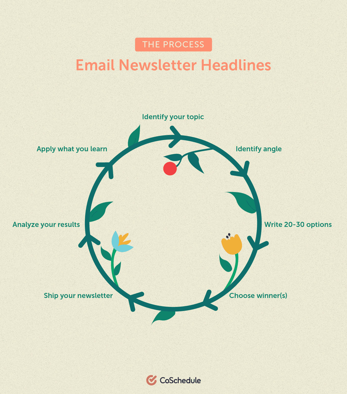 Email newsletter headline process