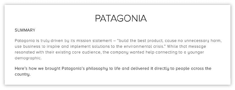 Patagonia executive summary example