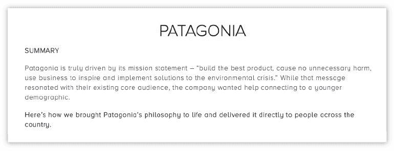 Example of an executive summary from Patagonia.