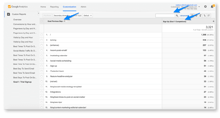 Customization tab within Google Analytics for Goal Previous Step 1