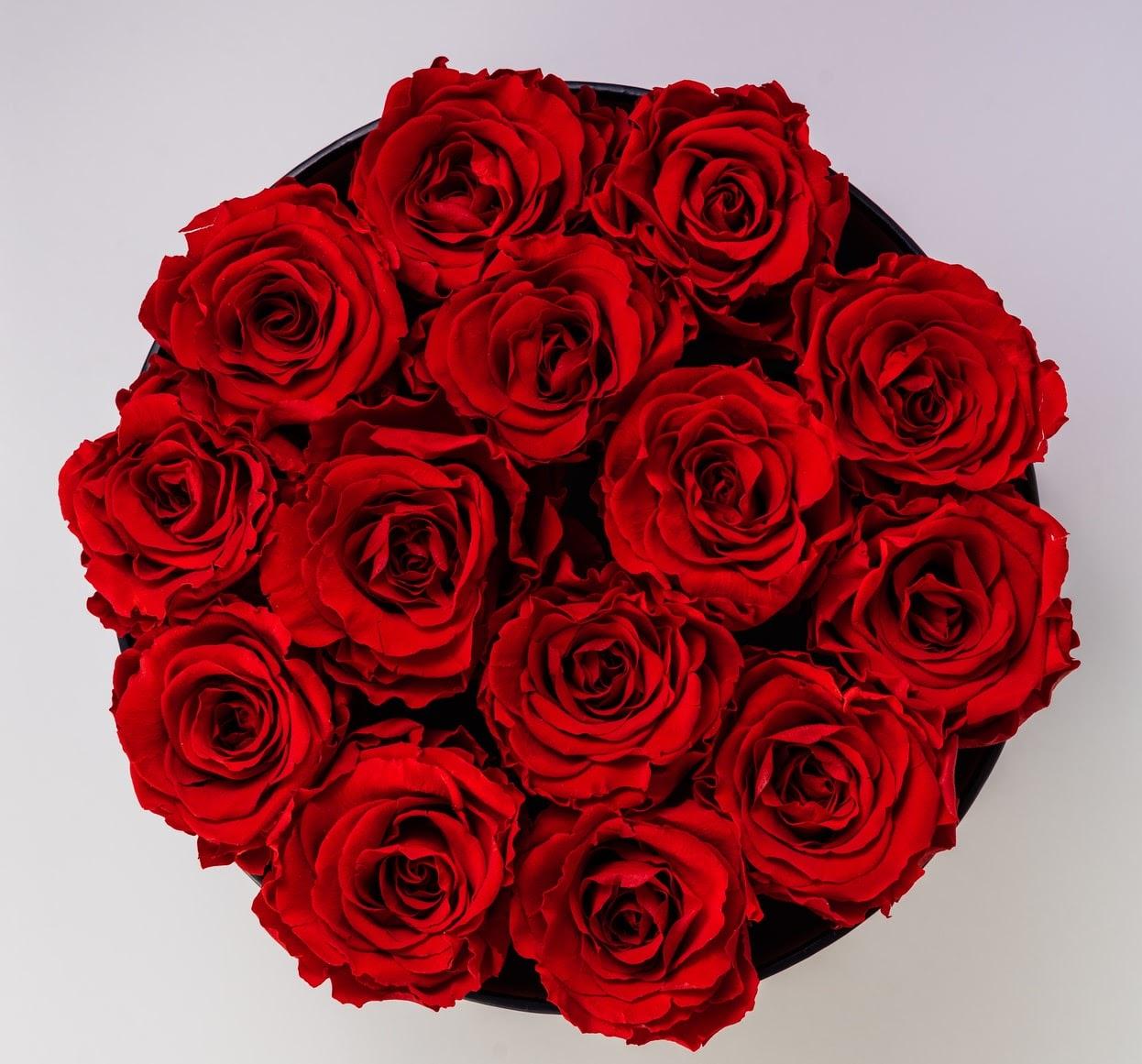 A bouquet of beautiful red roses