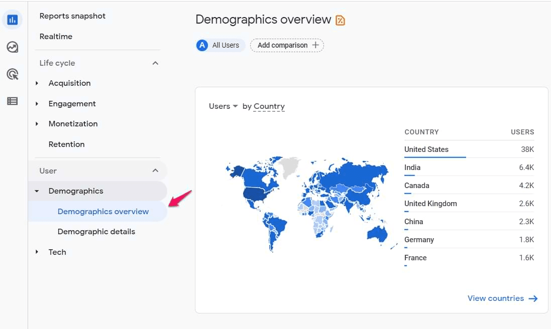Example of the demographics overview page on Google Analytics