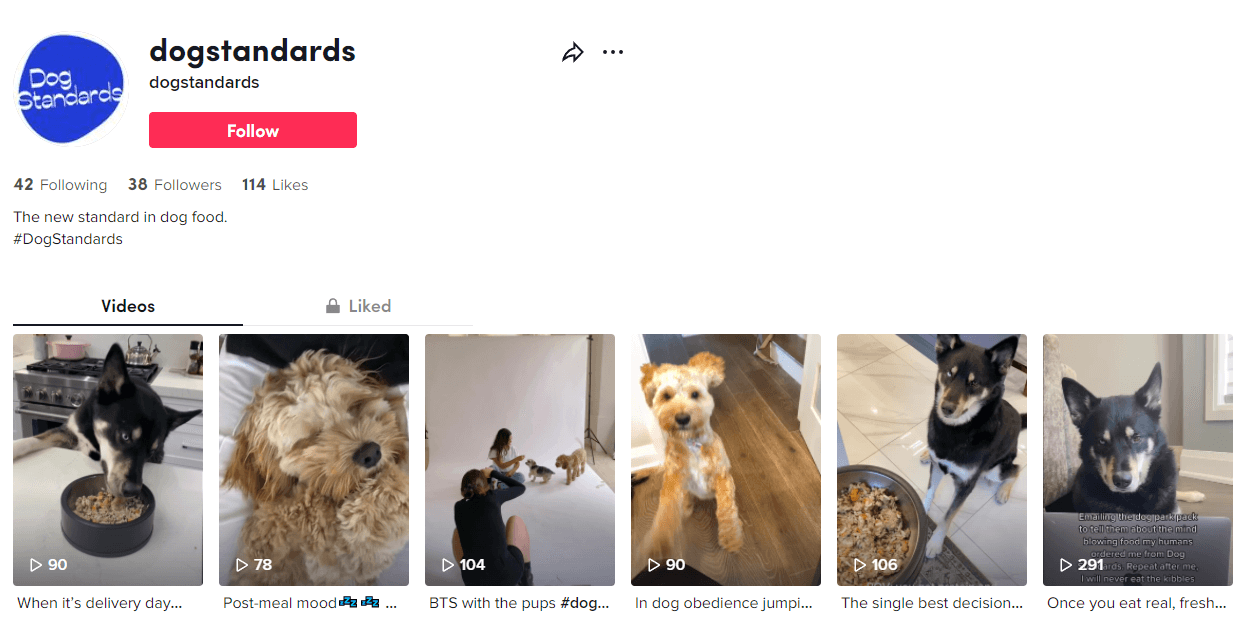 A screenshot of Dog Standards' Tik Tok page.