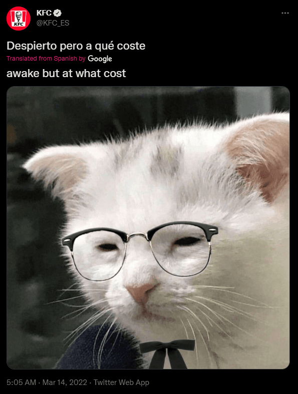 A tweet posted by the KFC twitter page, of a cat with glasses and a bow tie, looking quite tired. The tweet is captioned "awake but at what cost"