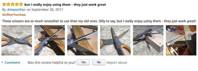 Screenshot of an Amazon customer's product review