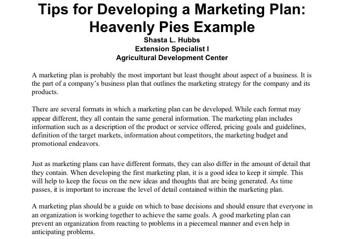 Example of a marketing plan with tips