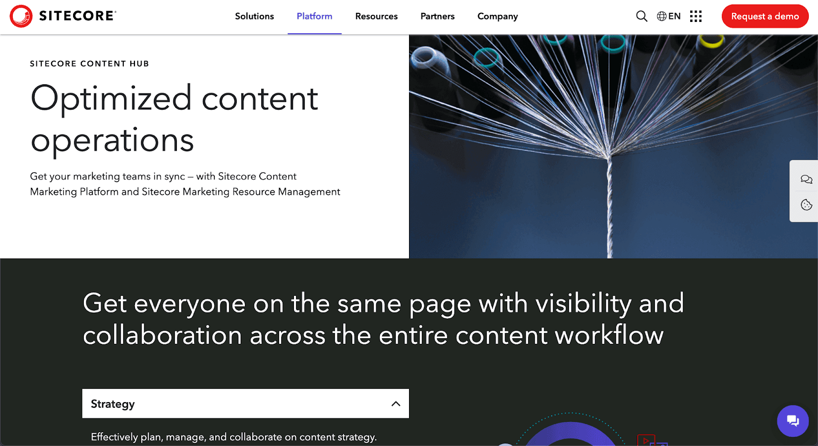 Sitecore Content Hub is a central location or all marketing team work
