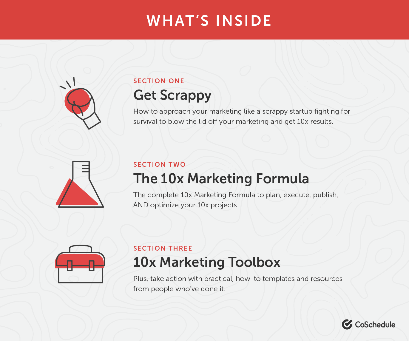What's Inside the 10x Marketing book. 