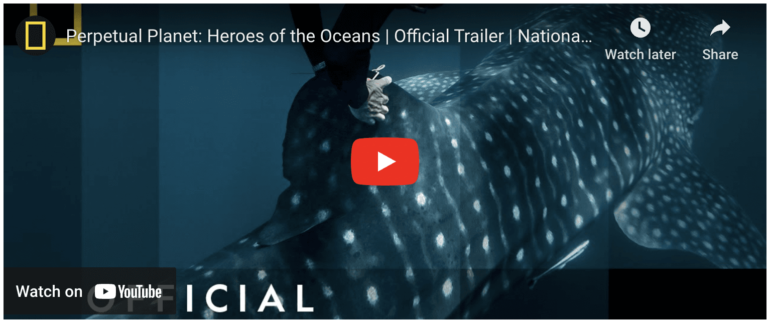 Heroes of the Ocean documentary YouTube preview