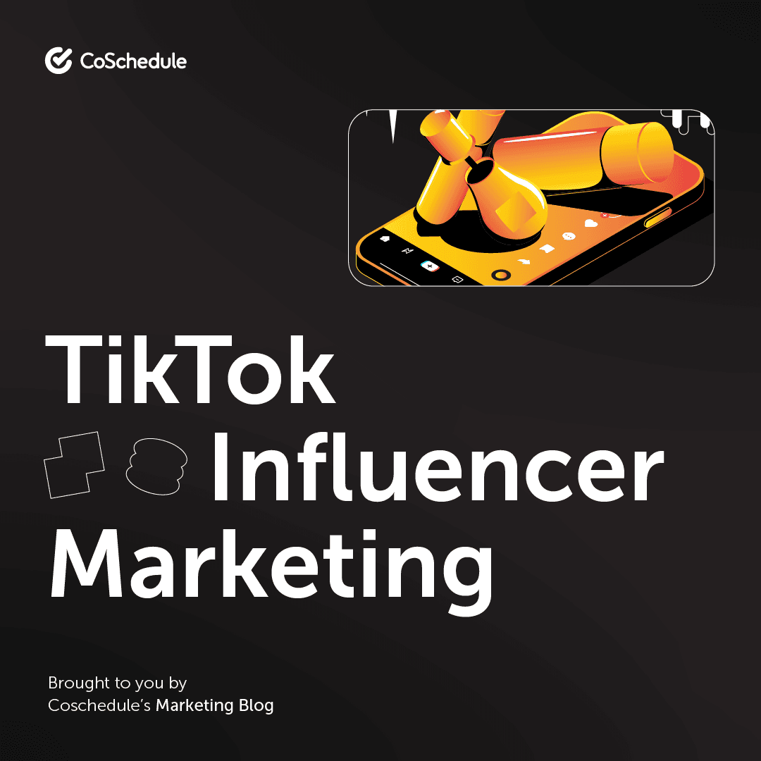 TikTok Influencer Advertising and marketing: A Information To Enhance Model Consciousness & Conversions | Digital Noch