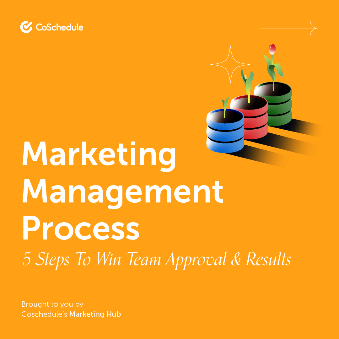 marketing management process