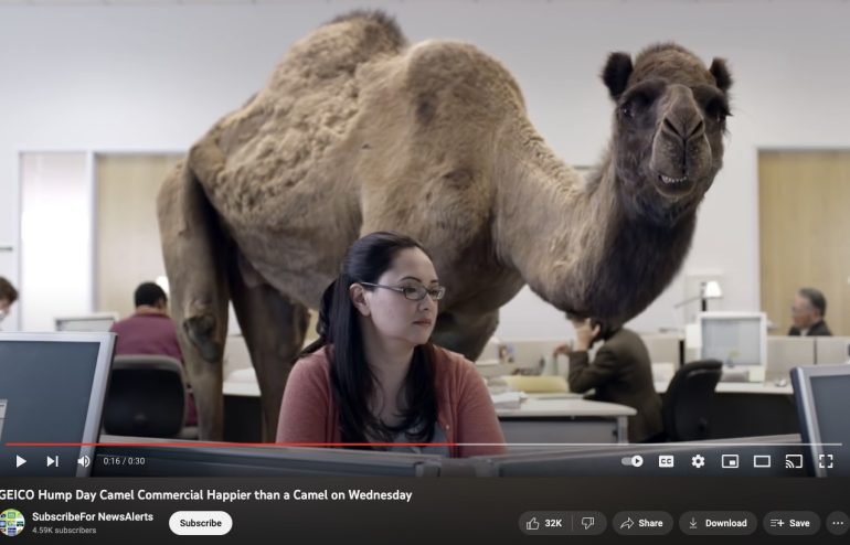 GEICO insurance commercial involving the camel which comes with the "hump day" slogan.