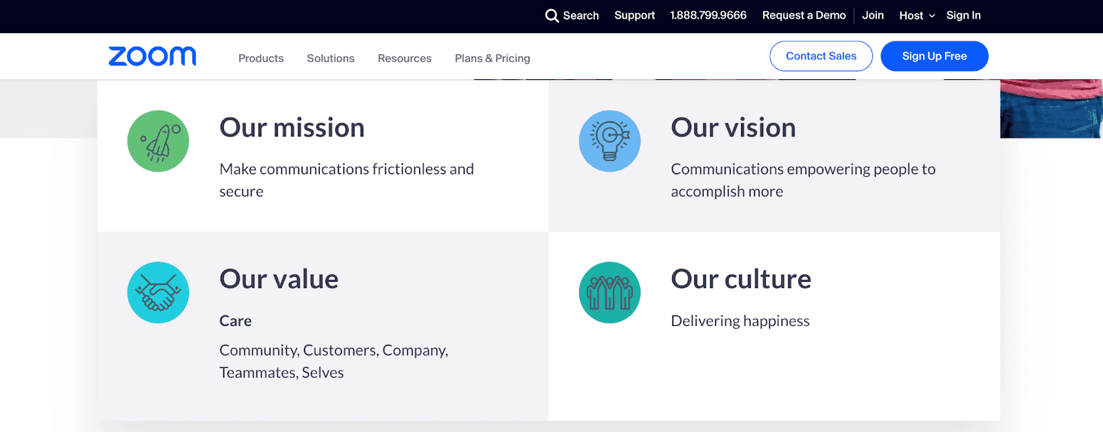The values of Zoom including their mission, vision, value and culture.