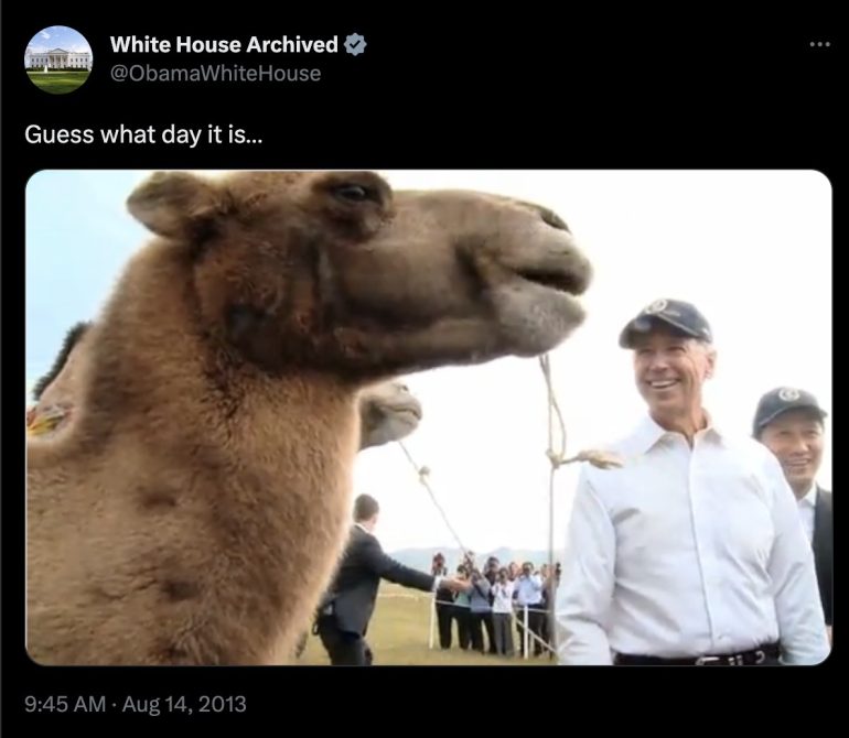 White house tweet of the camel from the geico commercial referencing "hump day."