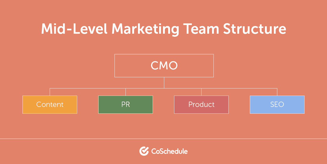 Mid-sized marketing team structure.