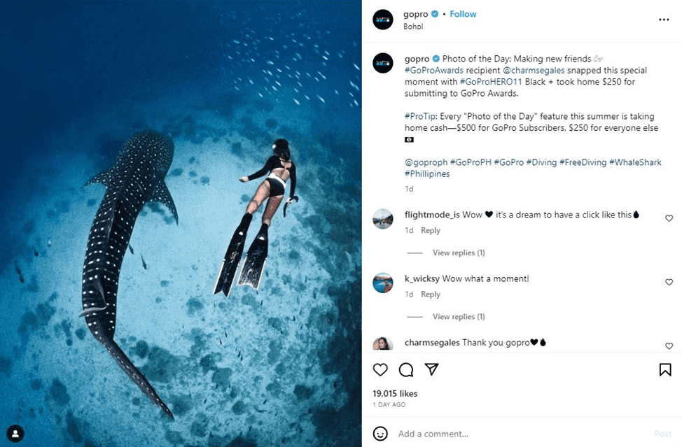 User-generated Instagram post of woman diving and swimming with small shark