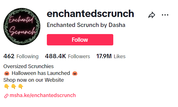 Enchanted Scrunch TikTok profile with link to other social accounts