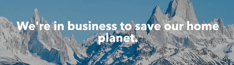 Patagonia vision statement - We're in the business to save our home planet.