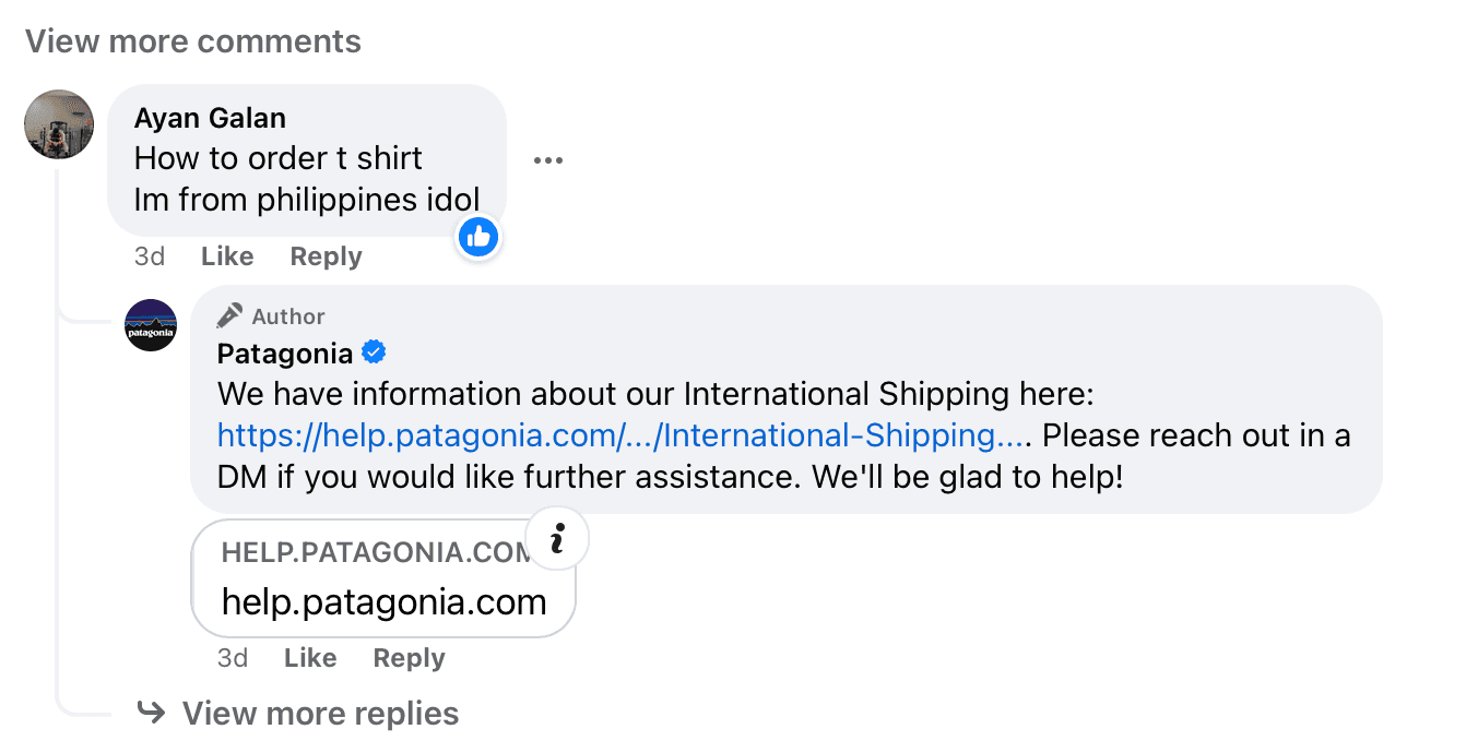 Patagonia responding to question about how to order t-shirt internationally