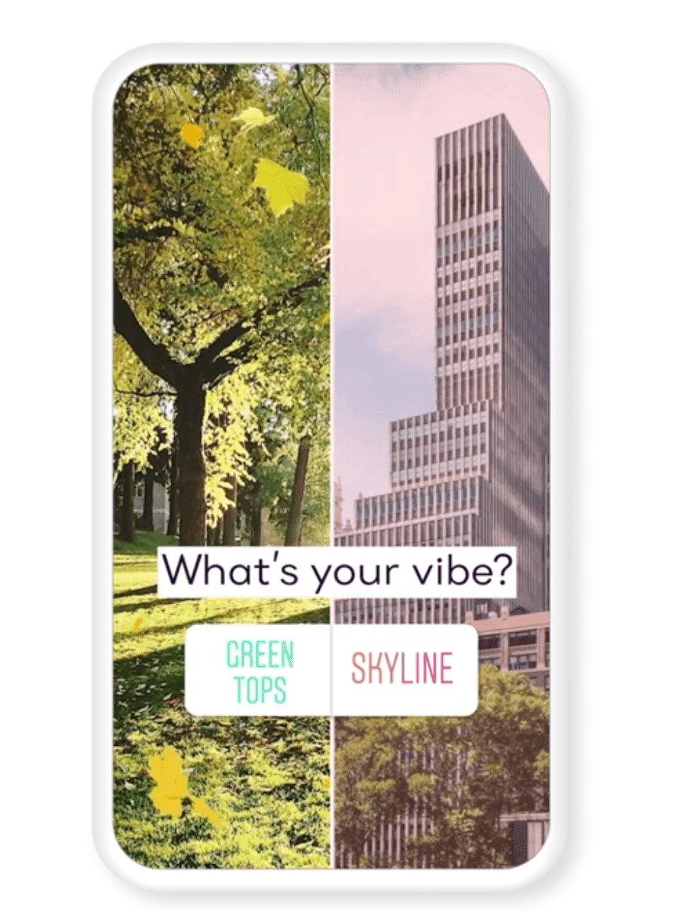 Instagram poll asking green tops or skyline