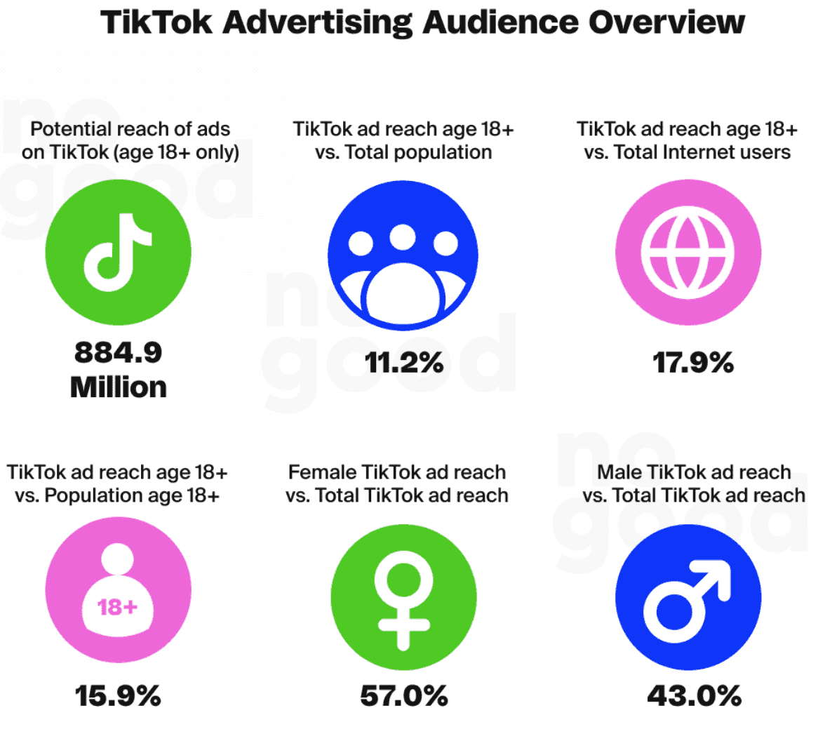 TikTok advertising audience overview statistics