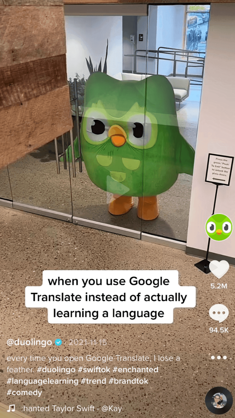 Duolingo Tiktok