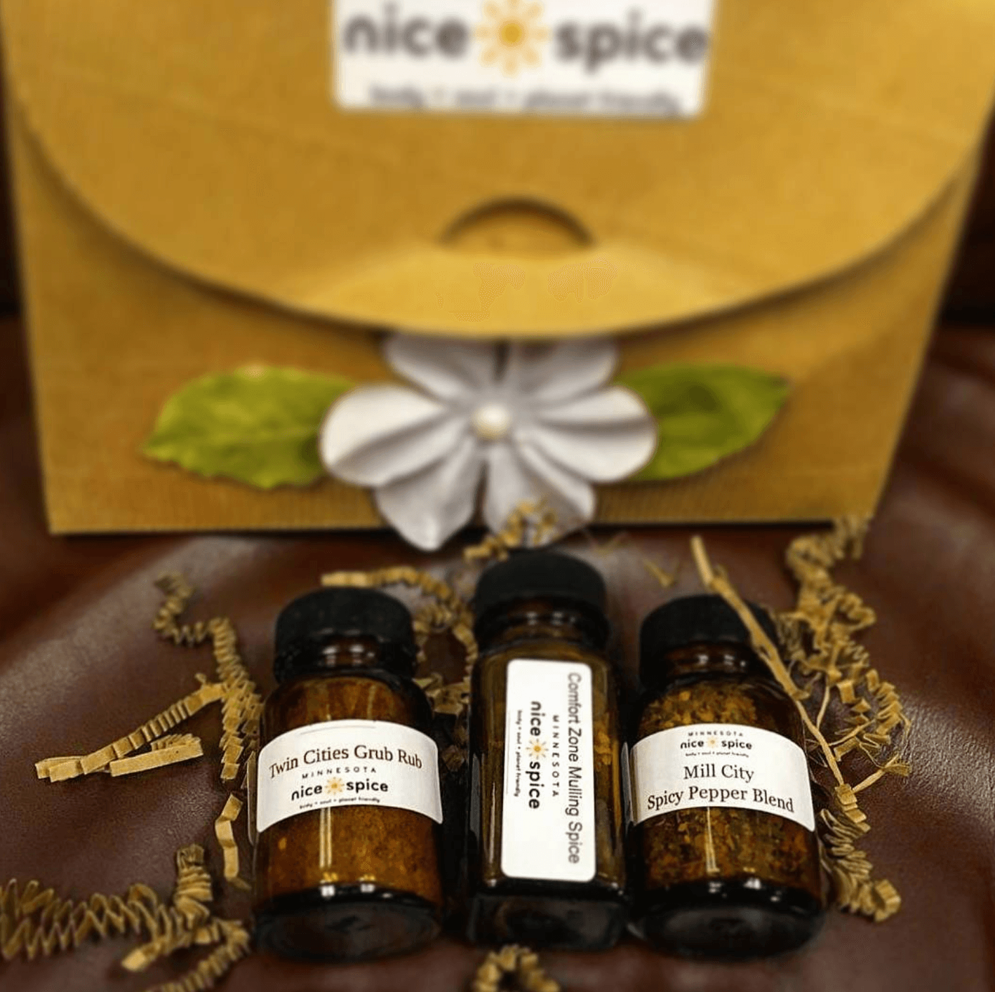 Small Business Marketing Plan Example: MN nice spice