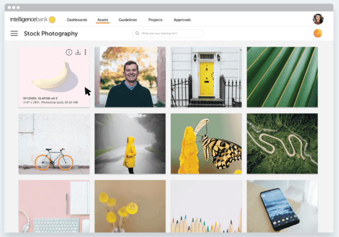 The Ultimate List of Top Digital Asset Management Software Platforms