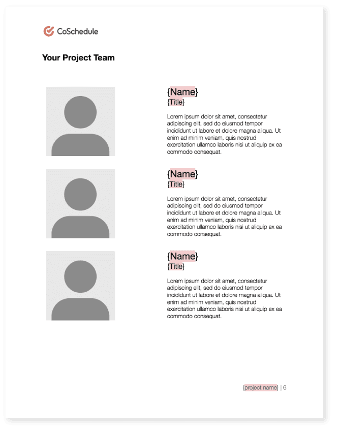 Template of the project team in a marketing proposal 