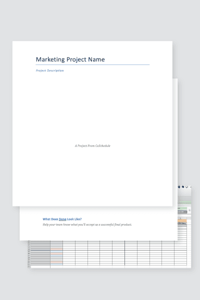 Marketing Project Management Process Bundle