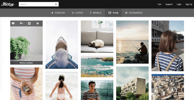 The Best Blog Photography Tips (+128 Free Images)